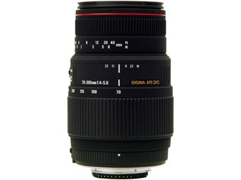 APO 70-300mm F4-5.6 DG MACRO (ﾆｺﾝ AF)