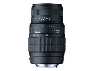 70-300mm F4-5.6 DG MACRO (ﾆｺﾝ AF)