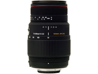 APO 70-300mm F4-5.6 DG MACRO (ﾍﾟﾝﾀｯｸｽ AF)