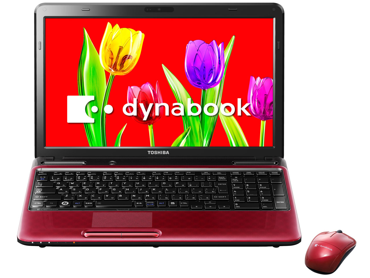 dynabook T451 T451/58ER PT45158EBFR [モデナレッド]