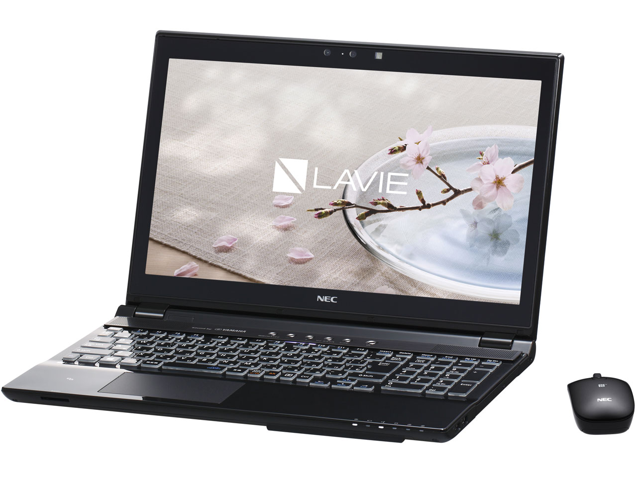 LAVIE Note Standard NS850/DAB PC-NS850DAB