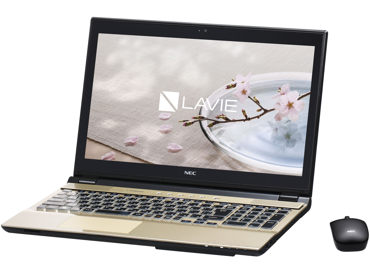 LAVIE Note Standard NS750/DAG PC-NS750DAG [クリスタルゴールド]