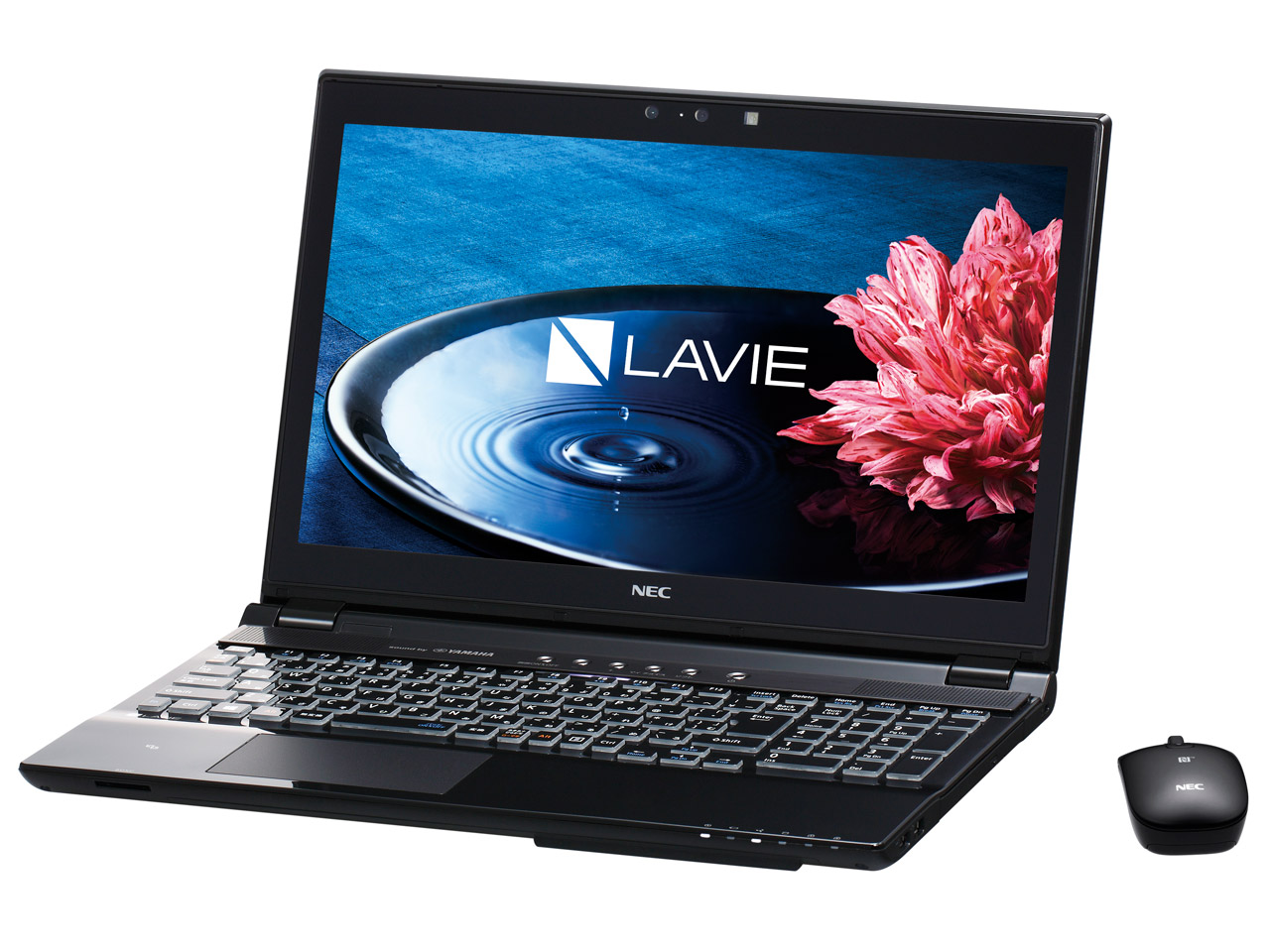 LAVIE Note Standard NS850/EAB PC-NS850EAB