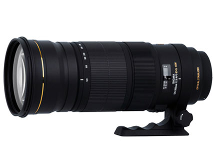 APO 120-300mm F2.8 EX DG OS HSM [シグマ用]