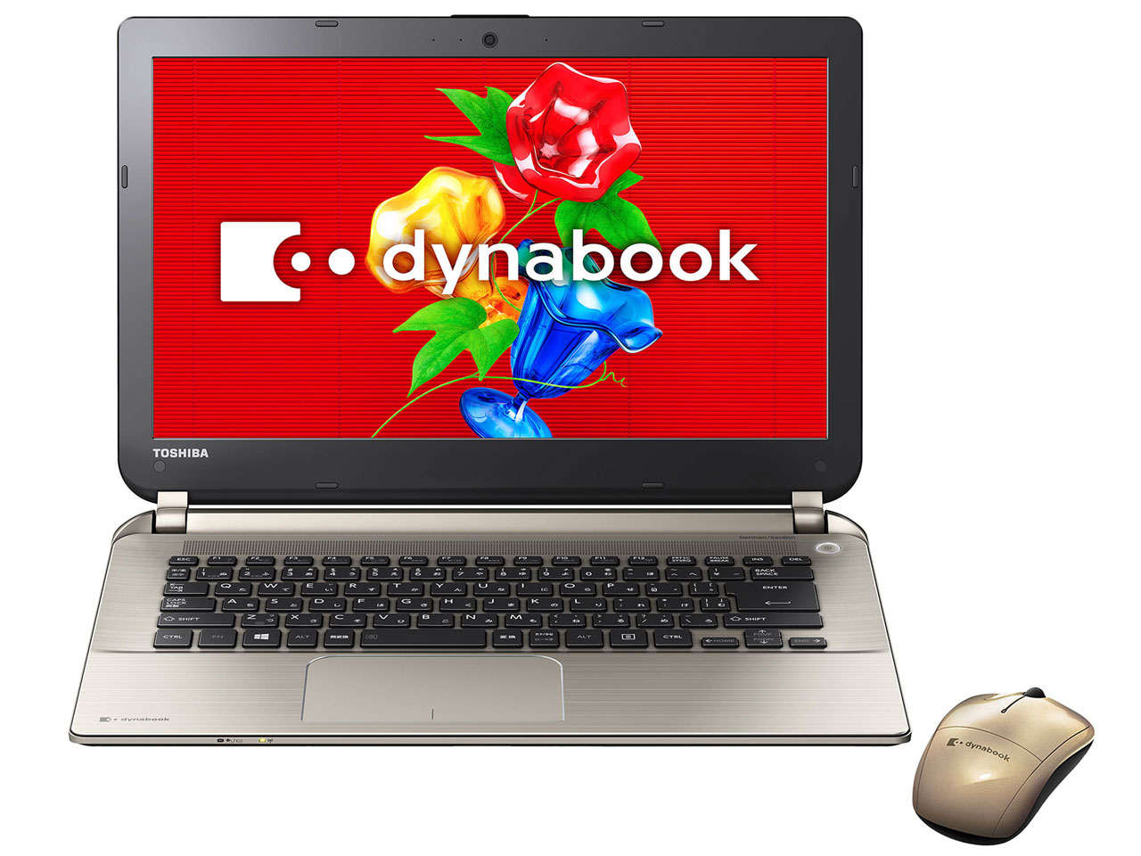 dynabook P54 P54/27M PP54-27MNXG