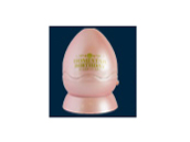 ホームスター BIRTHDAY [10月 ピンクトルマリン]