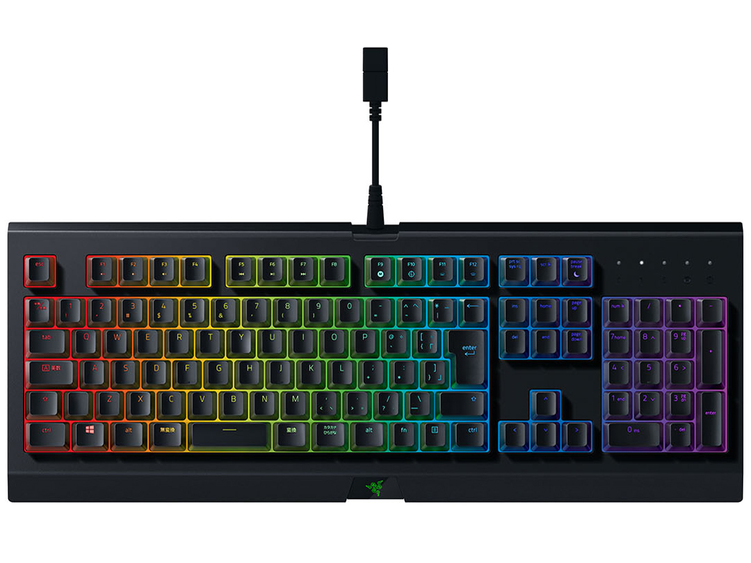 Cynosa Chroma JP RZ03-02262300-R3J1 [ブラック]