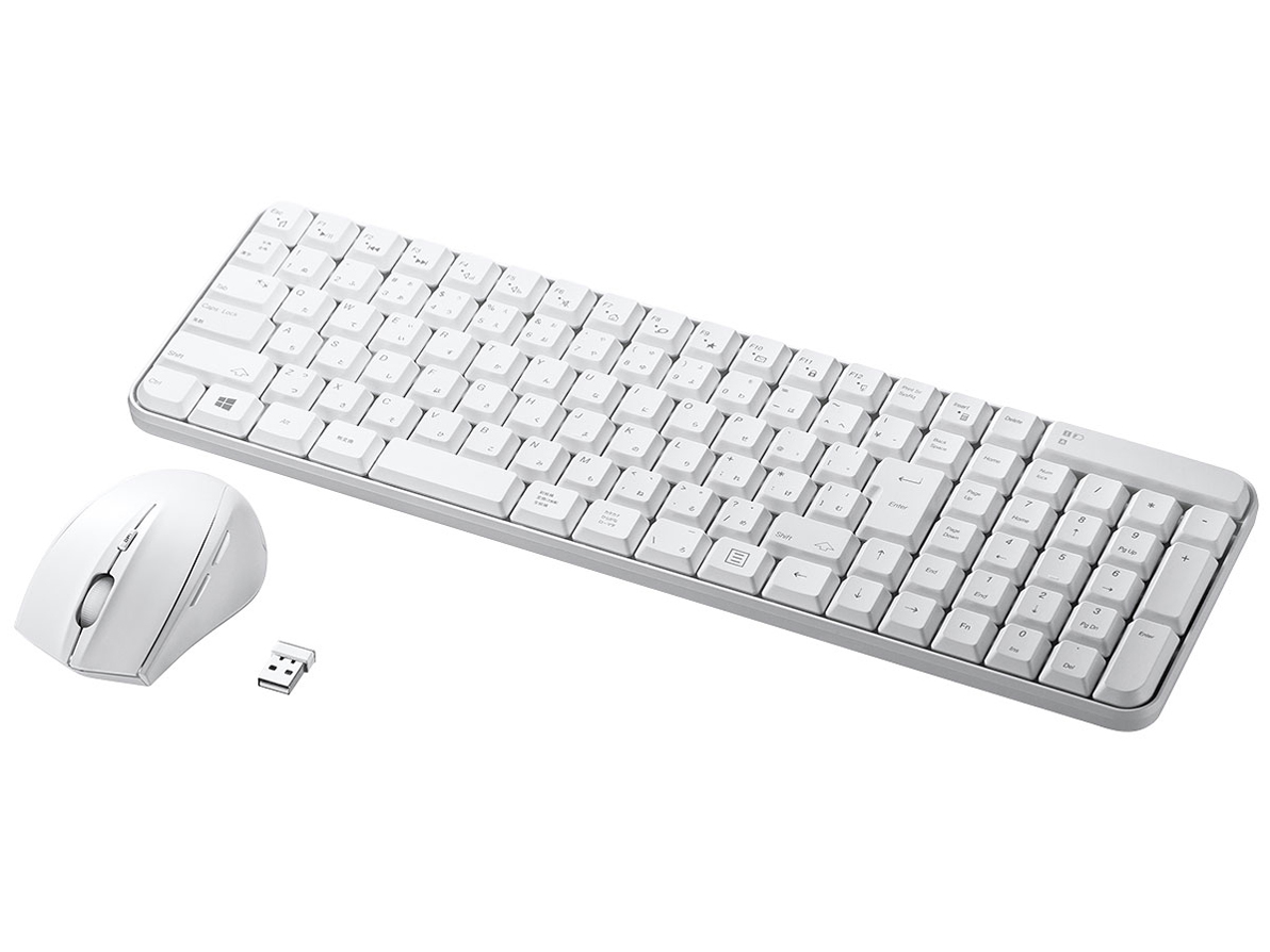 SKB-WL25SETW [ホワイト]