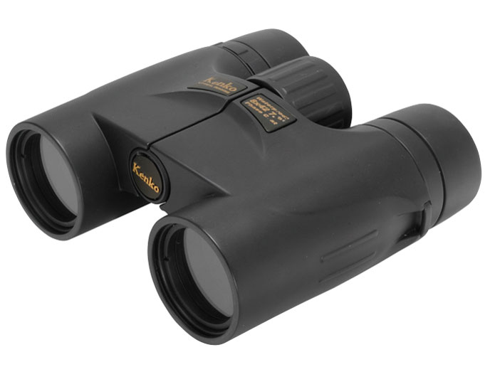 ケンコー 10x32DH MS