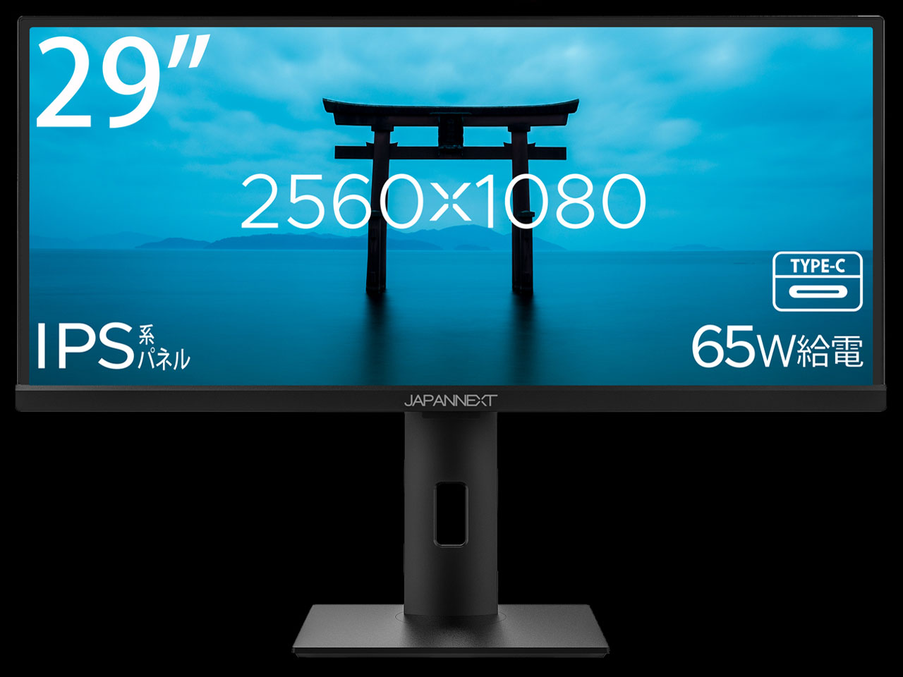 JN-IPS29WFHDR-C65W [29インチ]