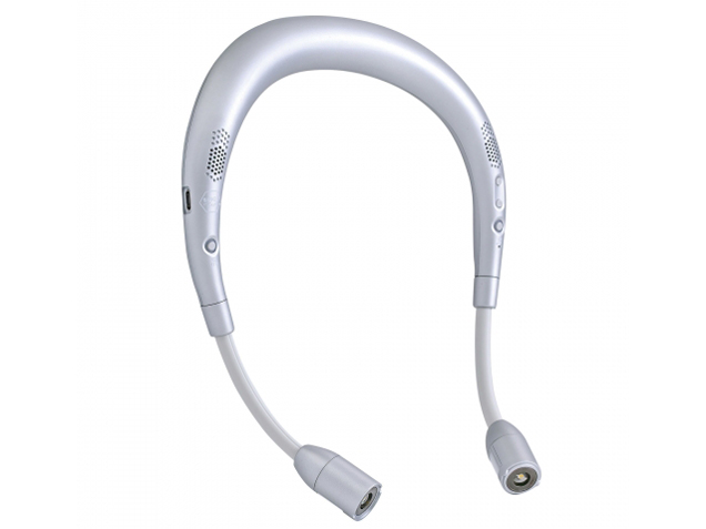 WSL100MSV [メタリックシルバー]