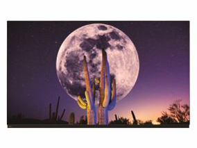 FE-65U7030 [65インチ]