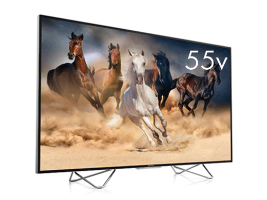 FL-55U4110 [55インチ]