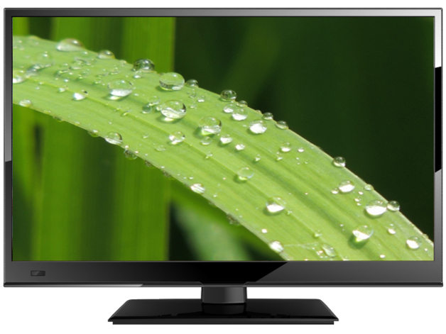 LC1995 [19インチ]