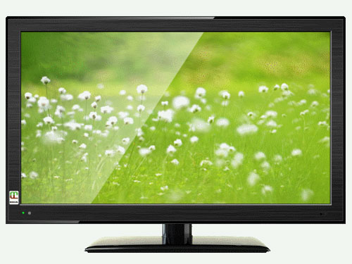 LC2470 [24インチ]