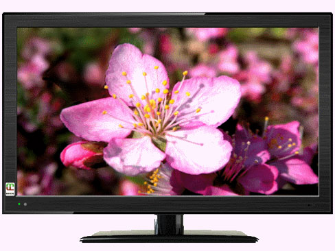 LC2475 [24インチ]