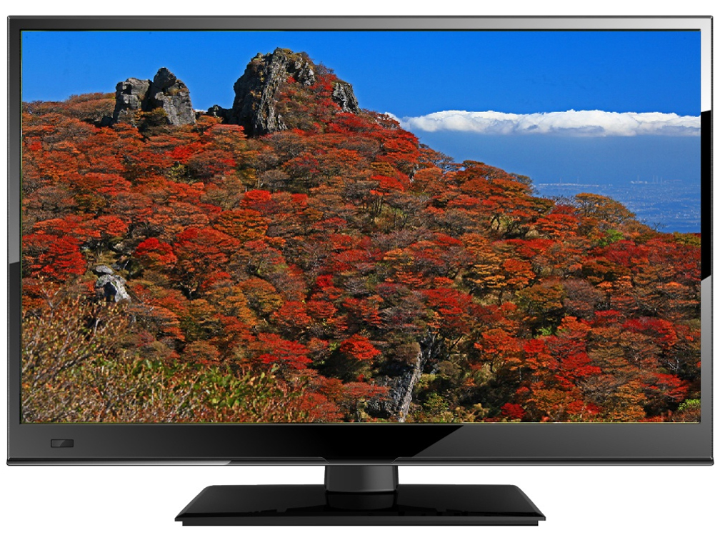 LC2496 [24インチ]