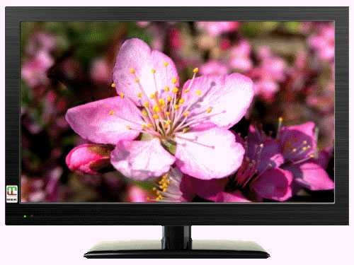 LC3275 [32インチ]