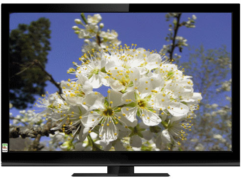 LCT1905Z [19インチ]