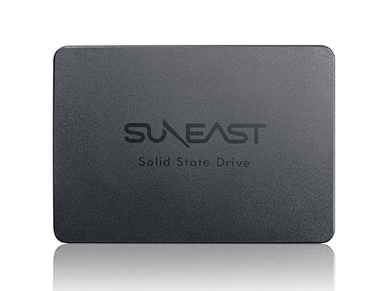 SUNEAST SE90025ST-256G