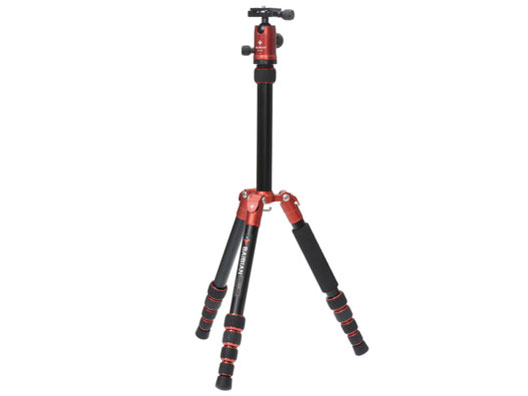 BAIBIAN F225 E-2106 [レッド]