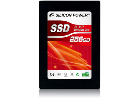 SP256GBSSD650S25