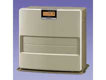 FH-EX4610BY(N) [ブライトゴールド]