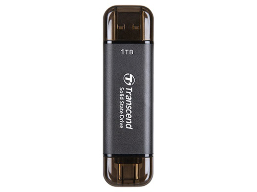 TS1TESD310C [ブラック]