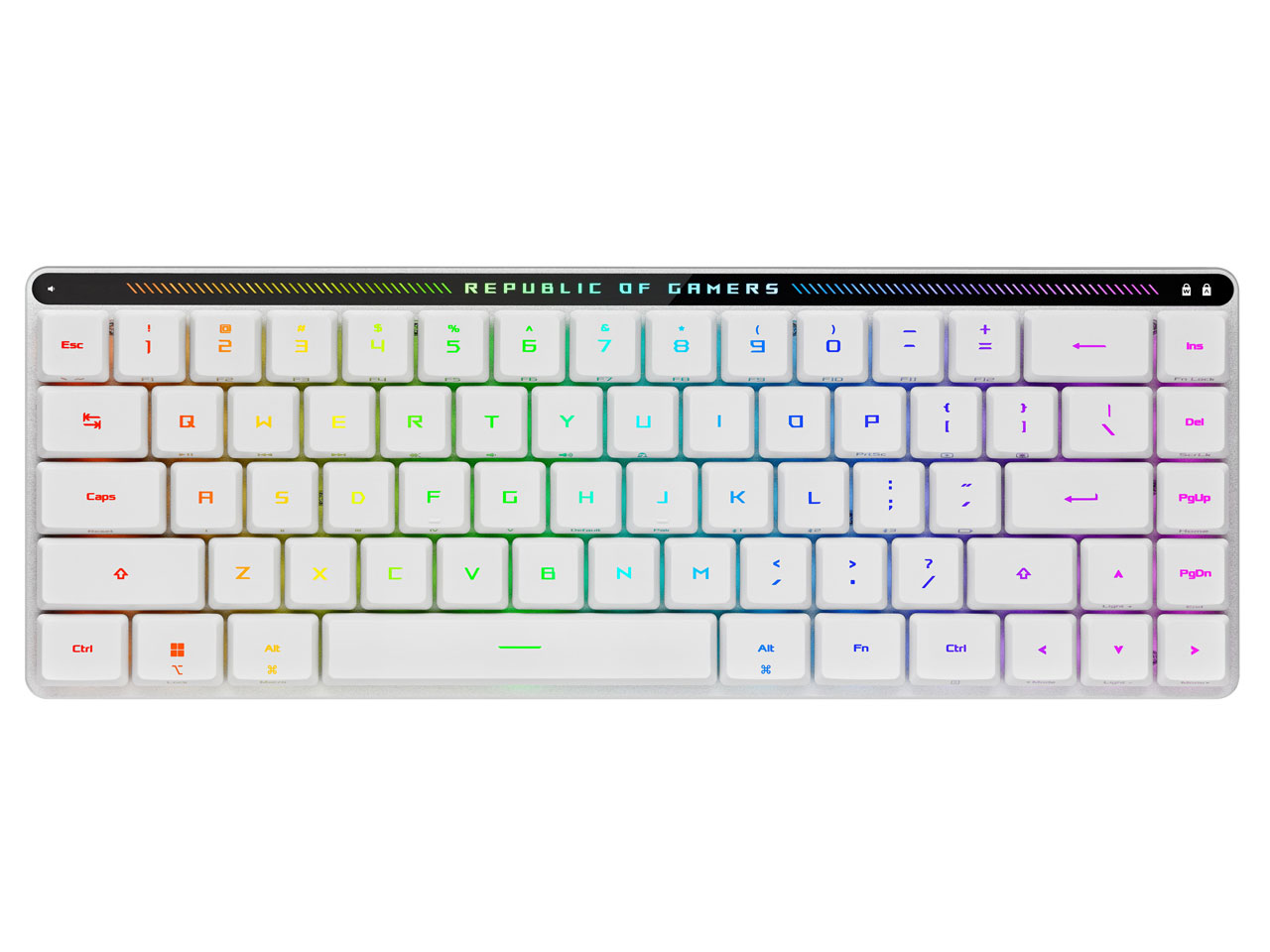 ROG Falchion RX Low Profile 赤軸 [White]