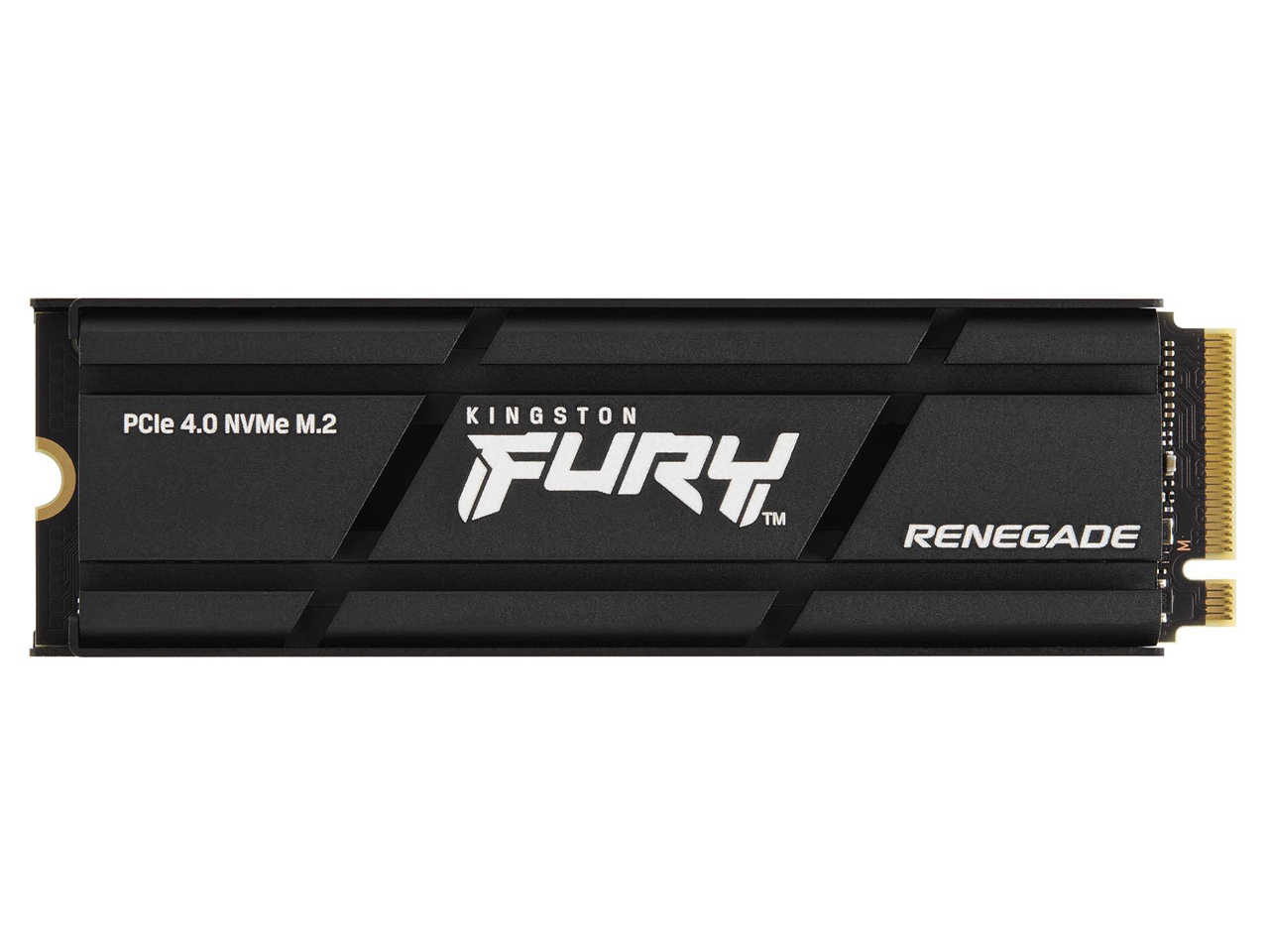 FURY Renegade SSD SFYRSK/500G