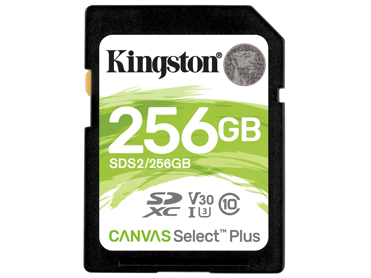 SDS2/256GB [256GB]