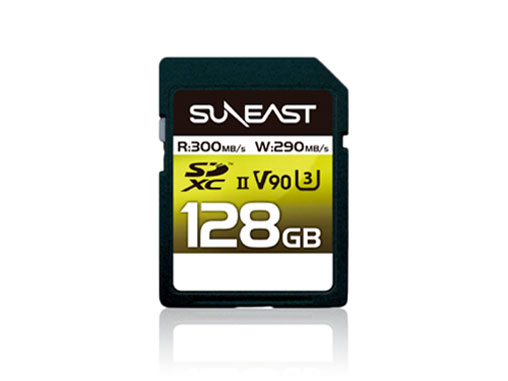 SE-SDU2128GA300 [128GB]