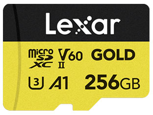 LMSGOLD256G-BNNNG [256GB]