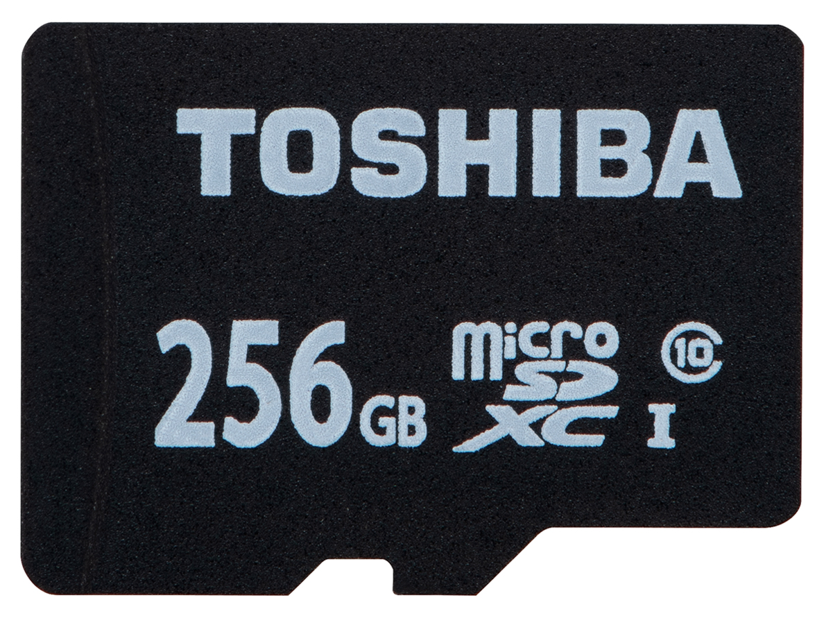 MSDBR48N256G [256GB]