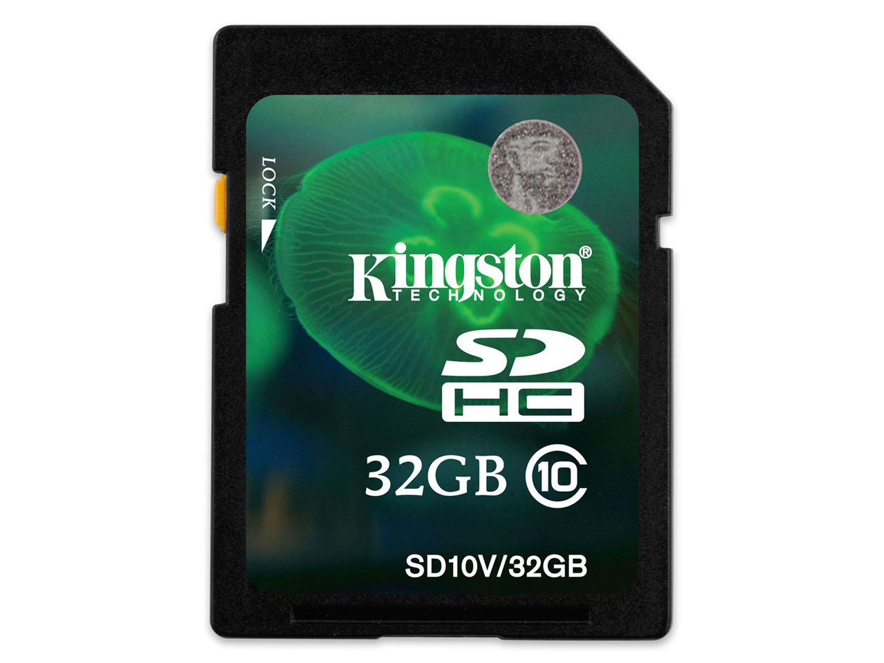 SD10V/32GB [32GB]