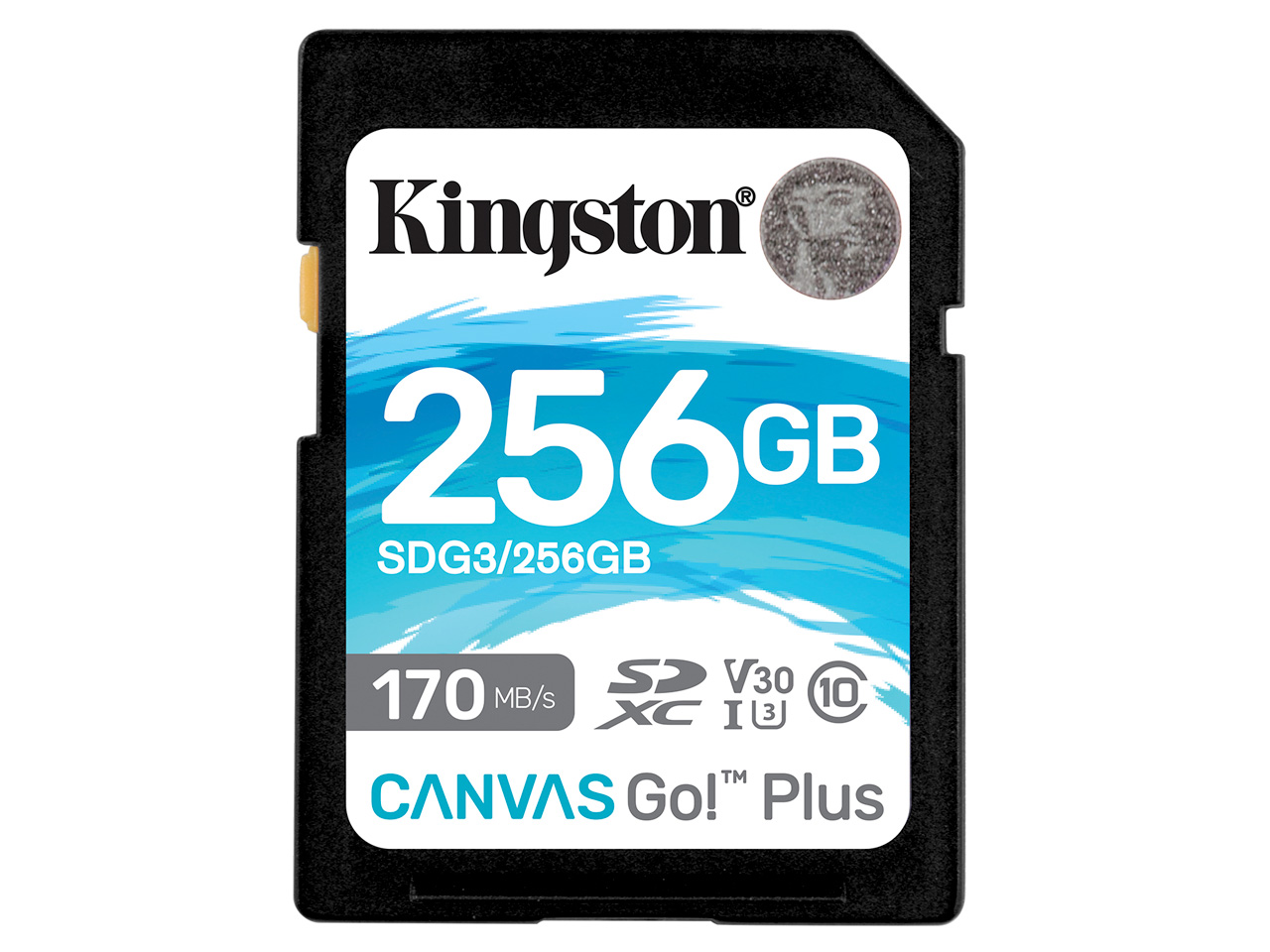 SDG3/256GB [256GB]