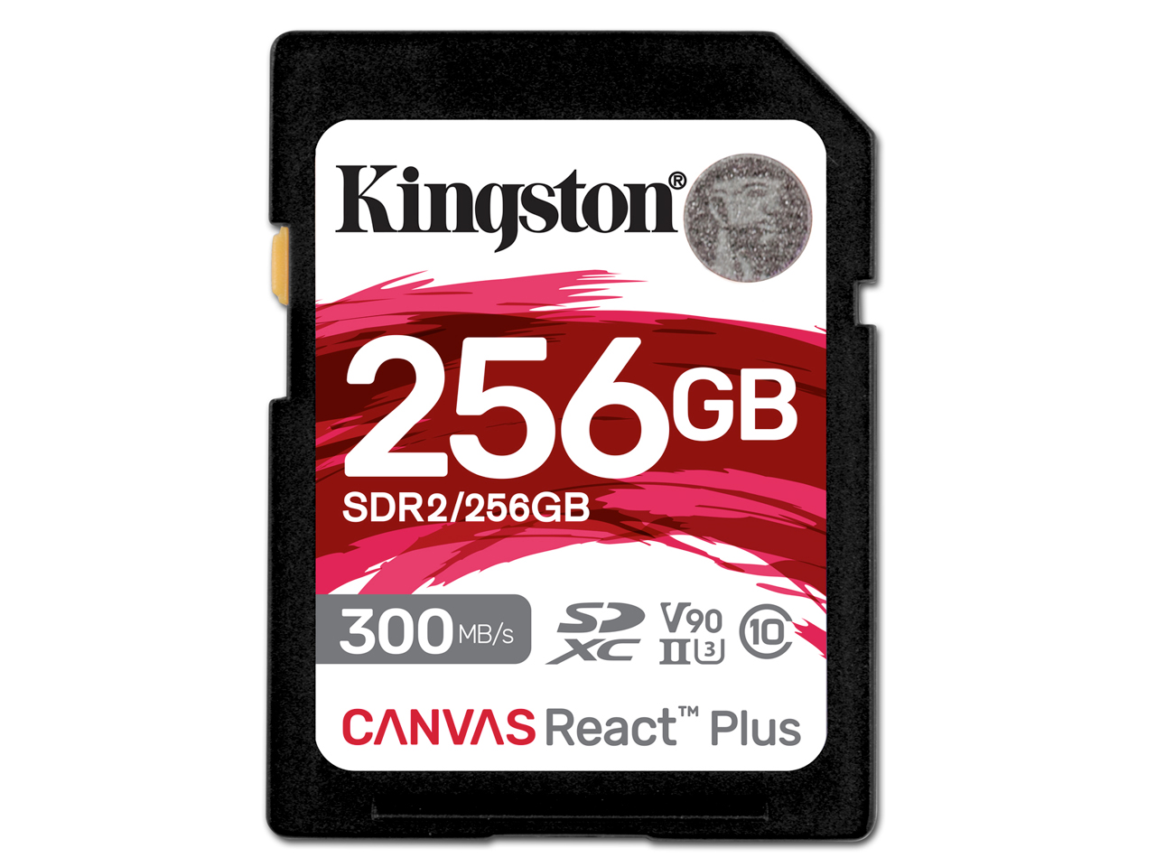 SDR2/256GB [256GB]