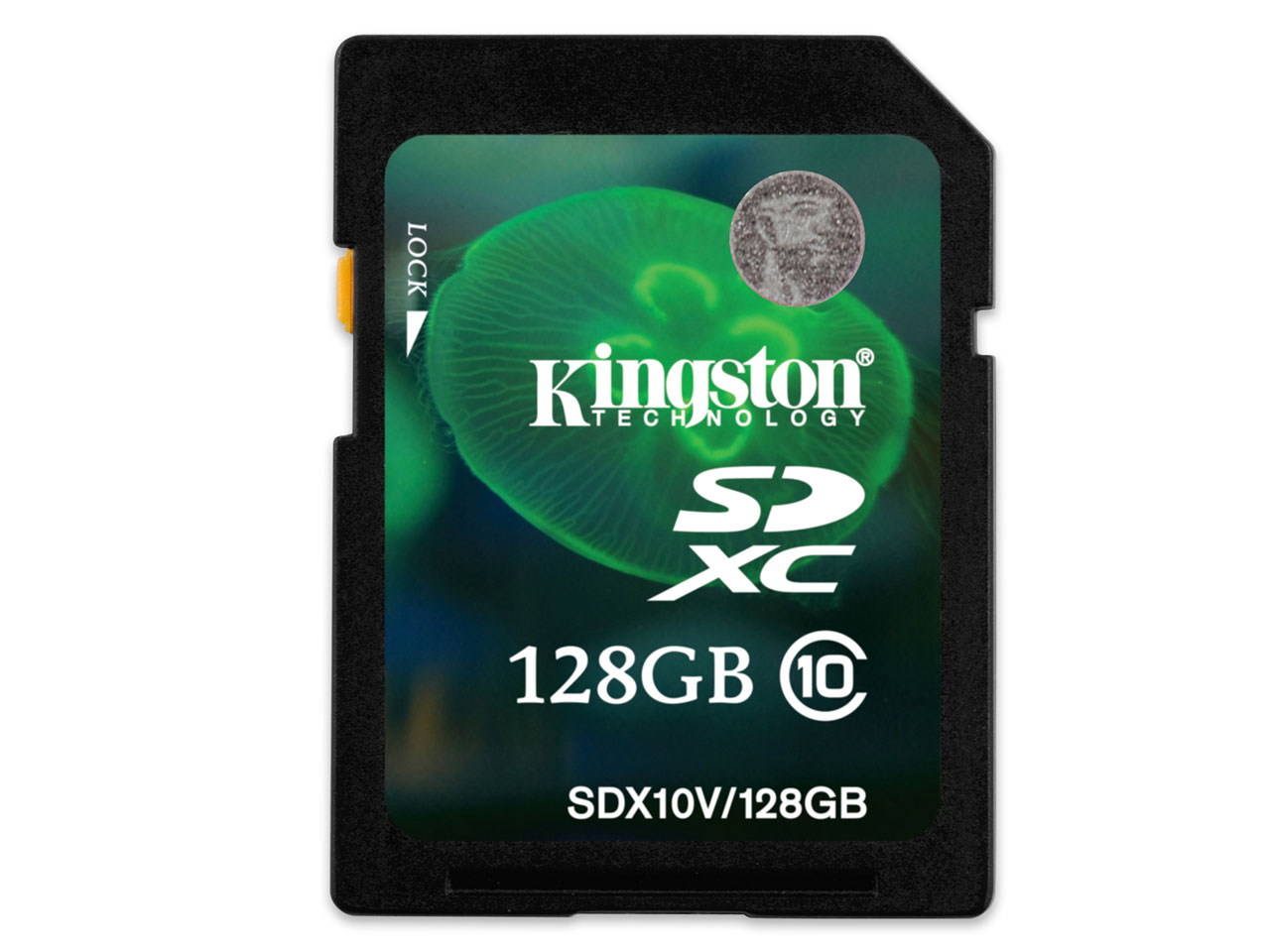 SDX10V/128GB [128GB]