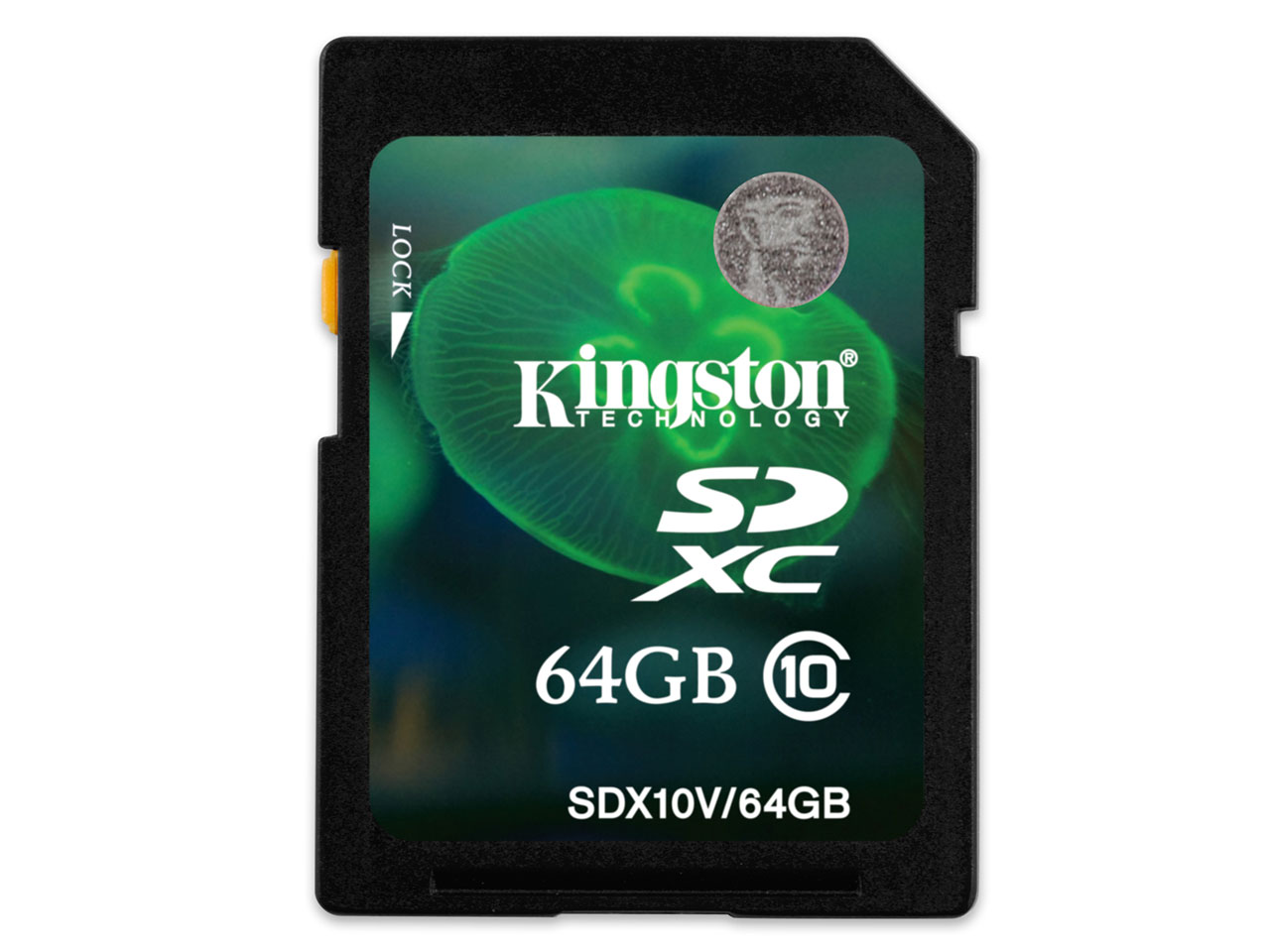 SDX10V/64GB [64GB]