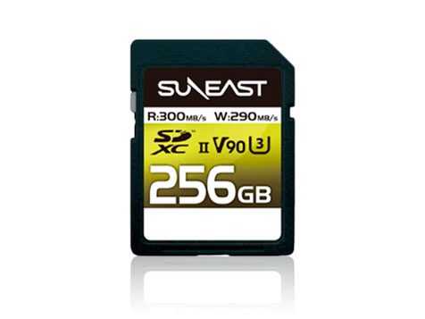 SE-SDU2256GA300 [256GB]