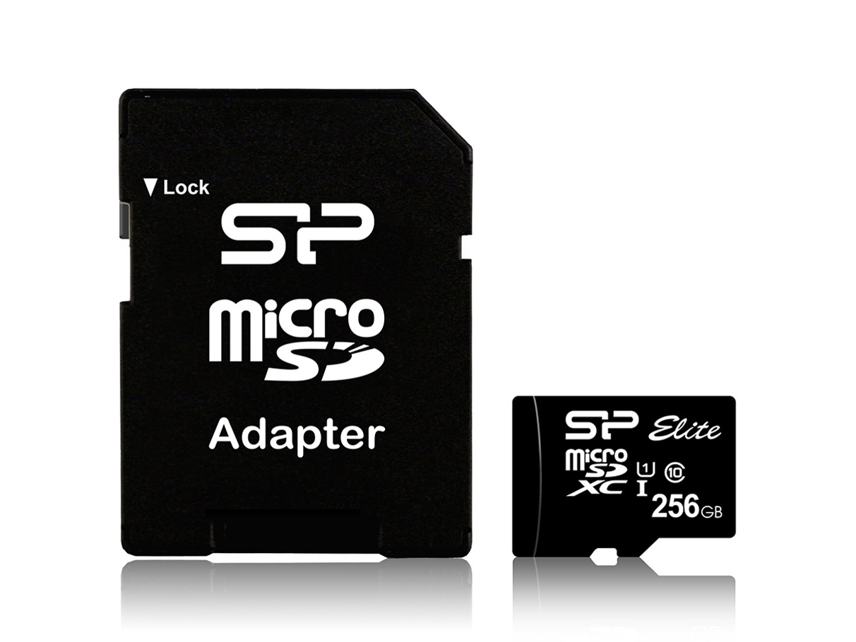 SP256GBSTXBU1V10SP [256GB]