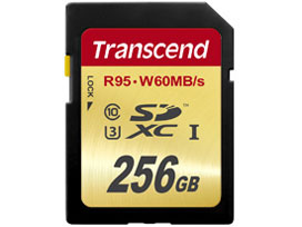 TS256GSDU3 [256GB]