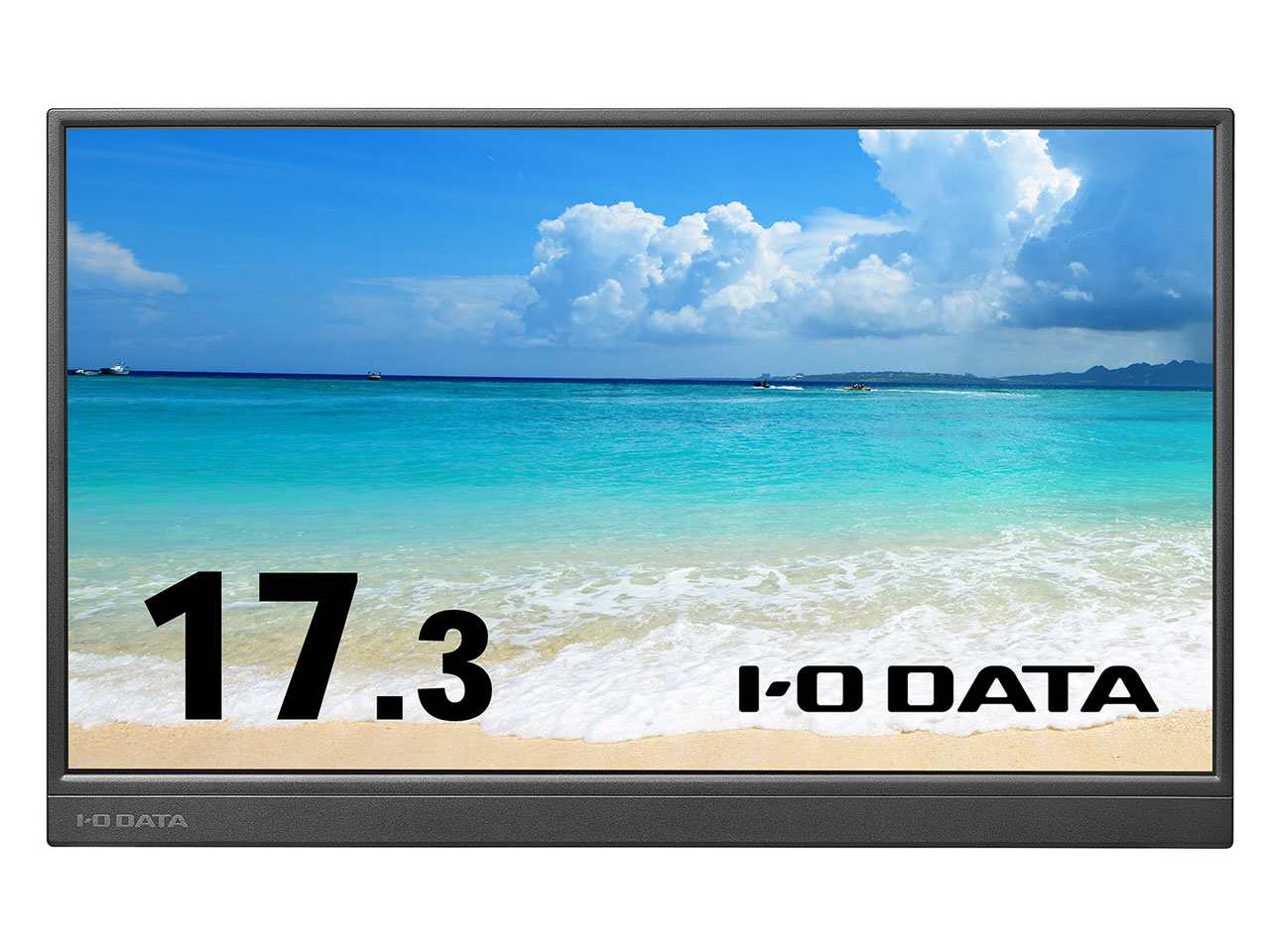 LCD-YC171DX [17.3インチ ブラック]