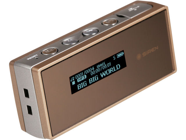 DP150 ゴールド (2GB)