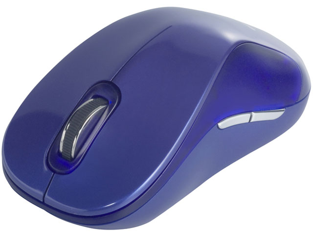 BSMBW01BL (ブルー)