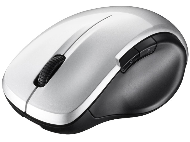 BSMBW29SSV [シルバー]