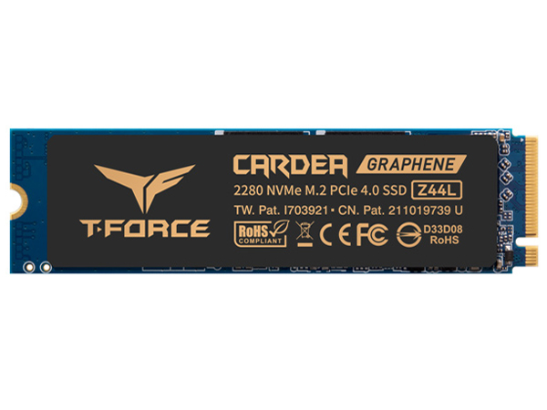 T-FORCE CARDEA Z44L TM8FPL250G0C127