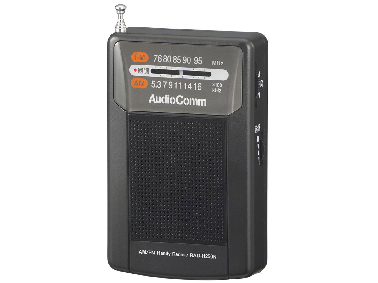 AudioComm RAD-H250N