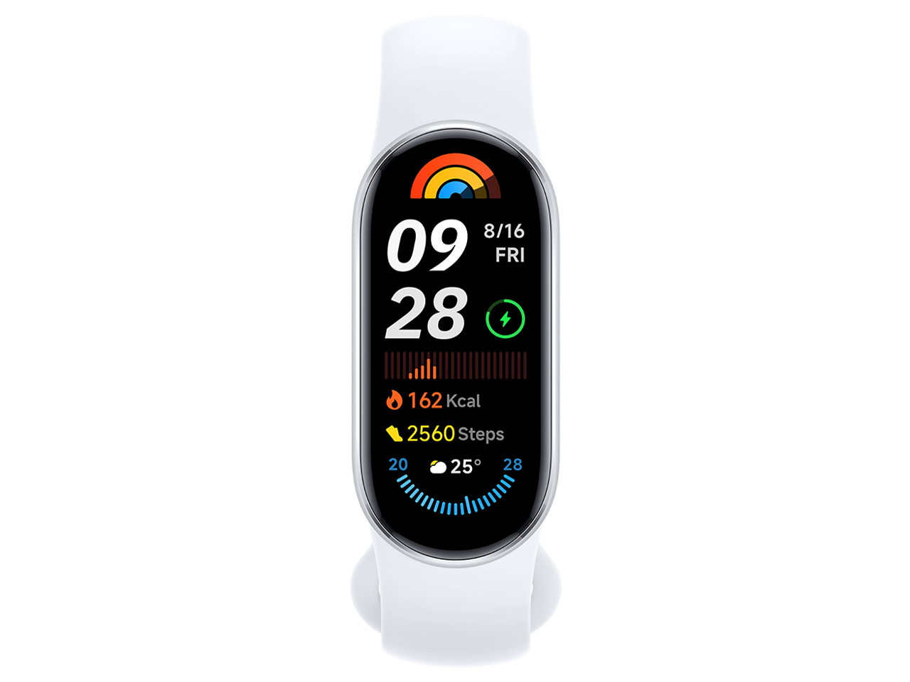 Xiaomi Smart Band 9 [グレイシャーシルバー]