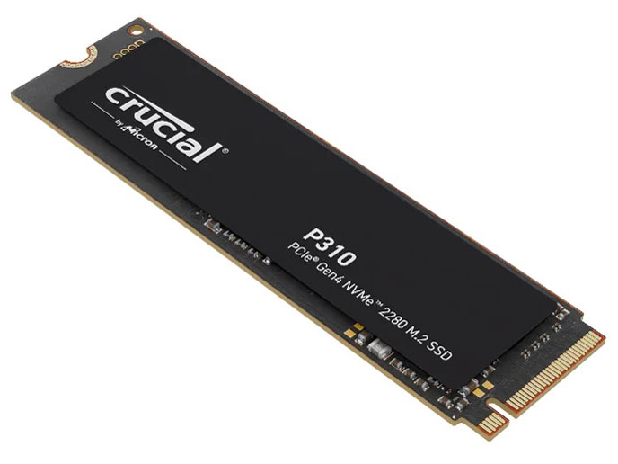 P310 CT500P310SSD8-JP